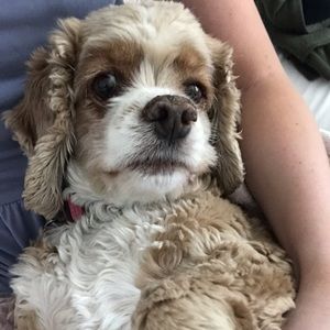 Meet your Posher, Keegan